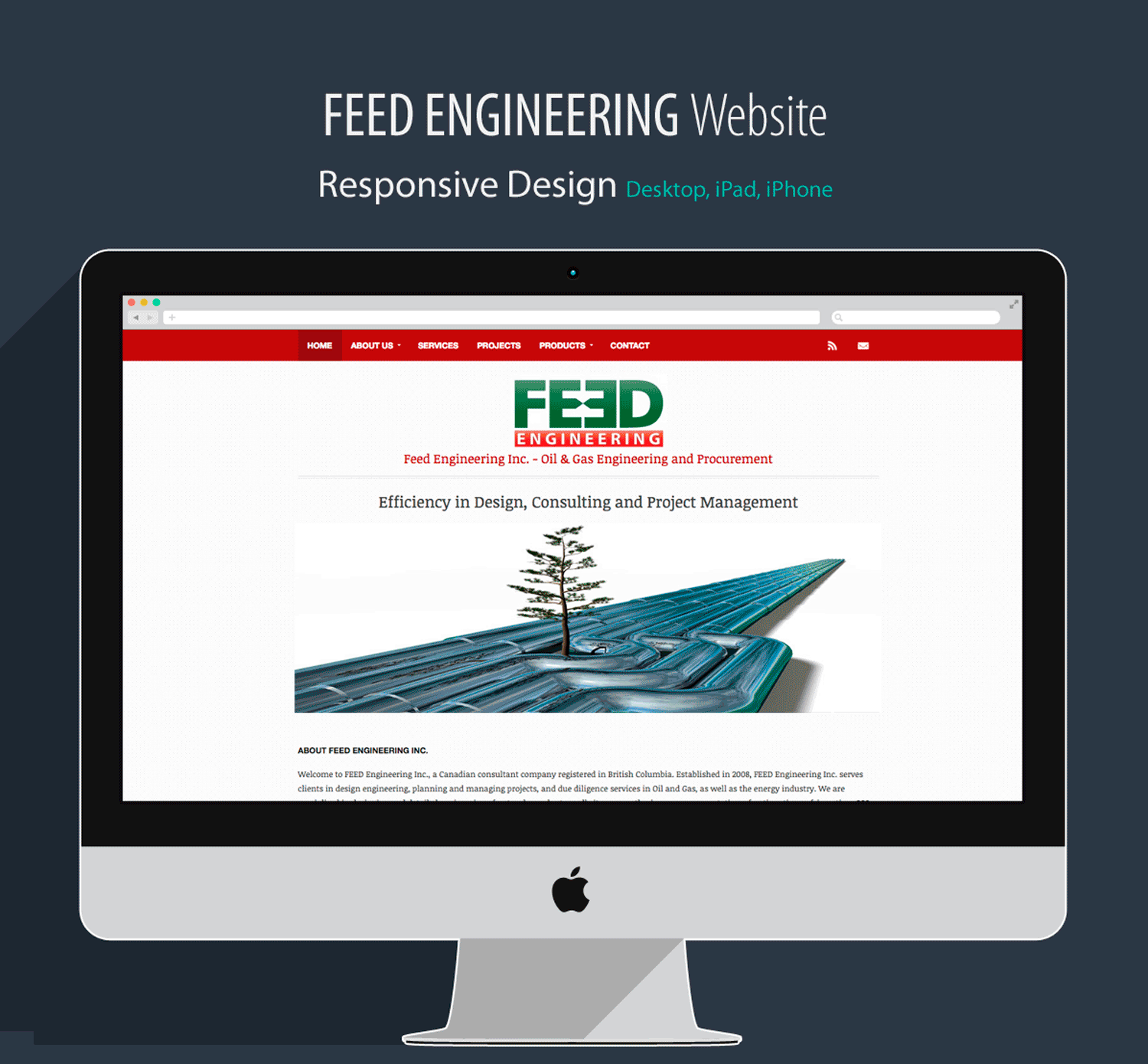 Feed Engineering